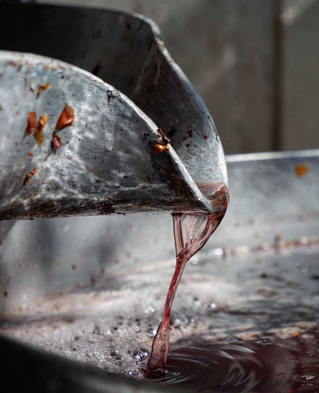 Freshly pressed Commandaria grape juice flowing from the press.